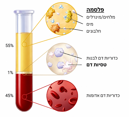 איור רפואי המדגים מה זה PRP