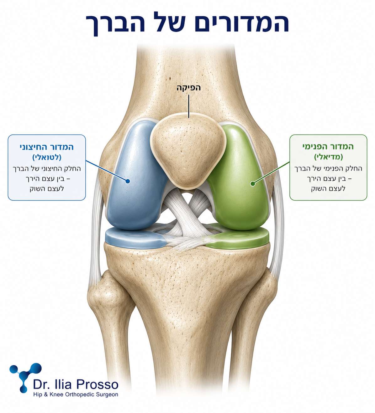 המדורים של הברך